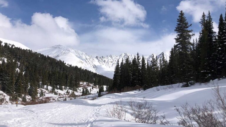 Mountain snow in Colorado