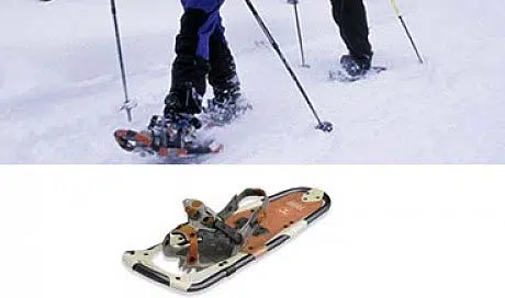 Snowshoes